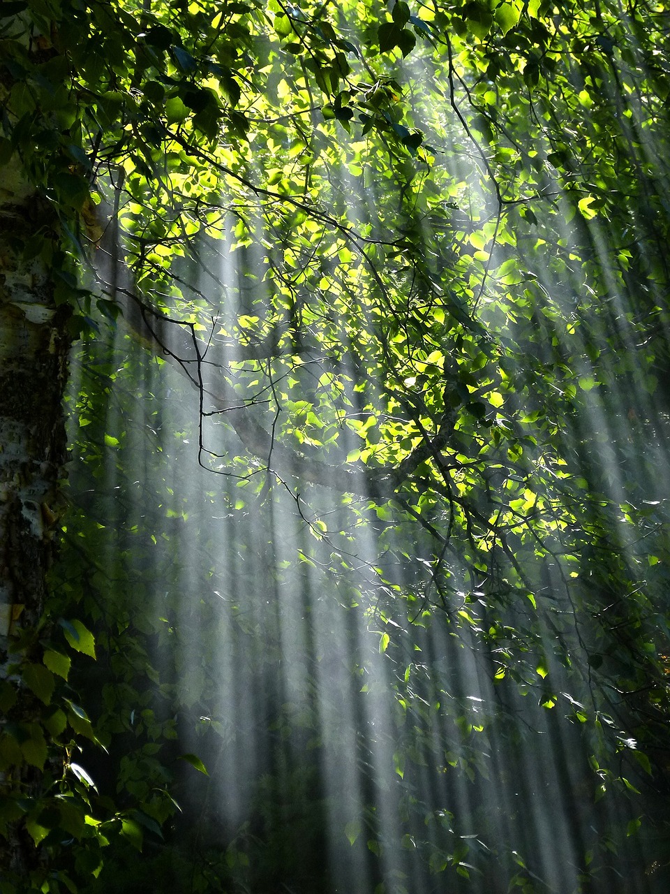 Autre Nature1