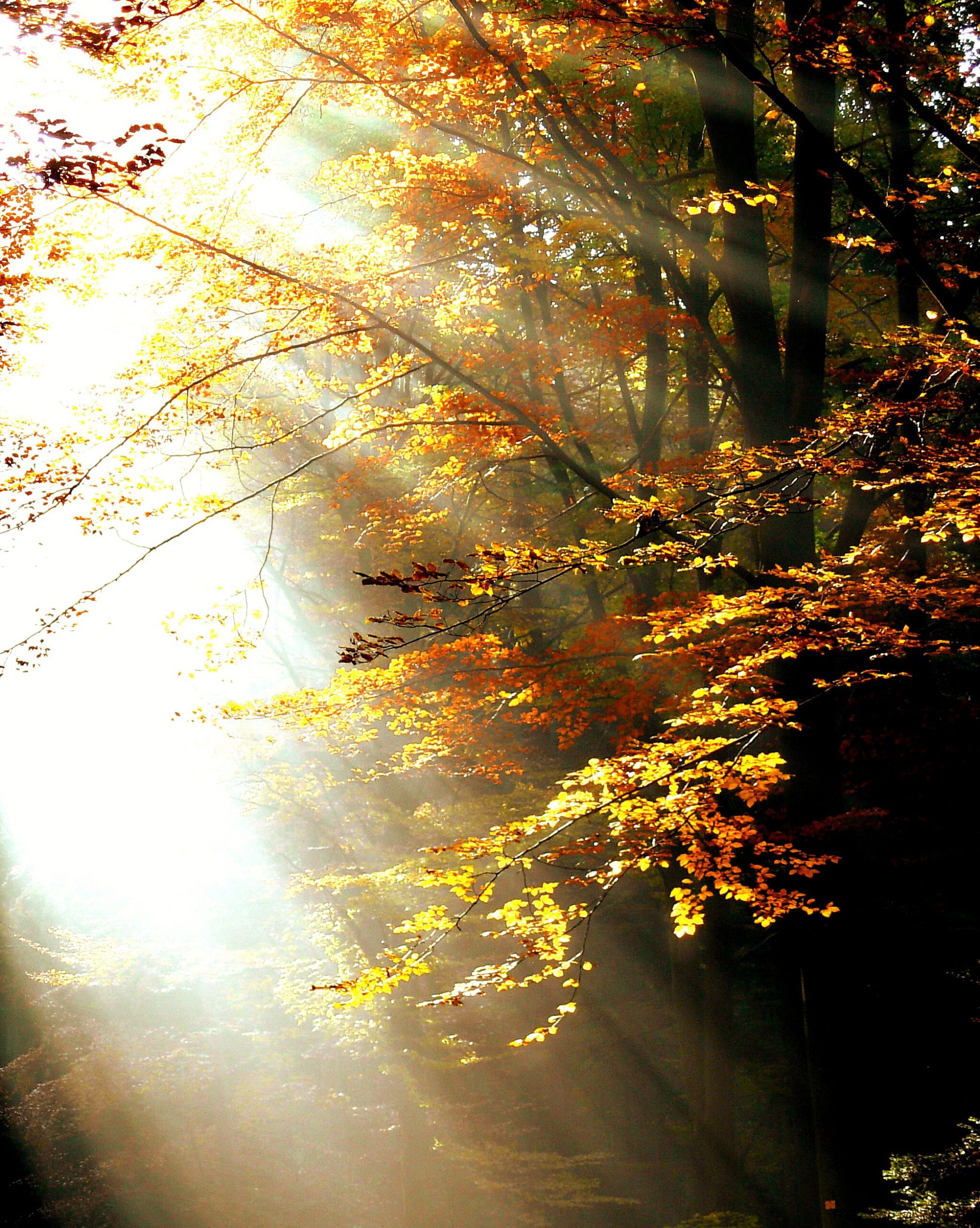 Autre Nature2