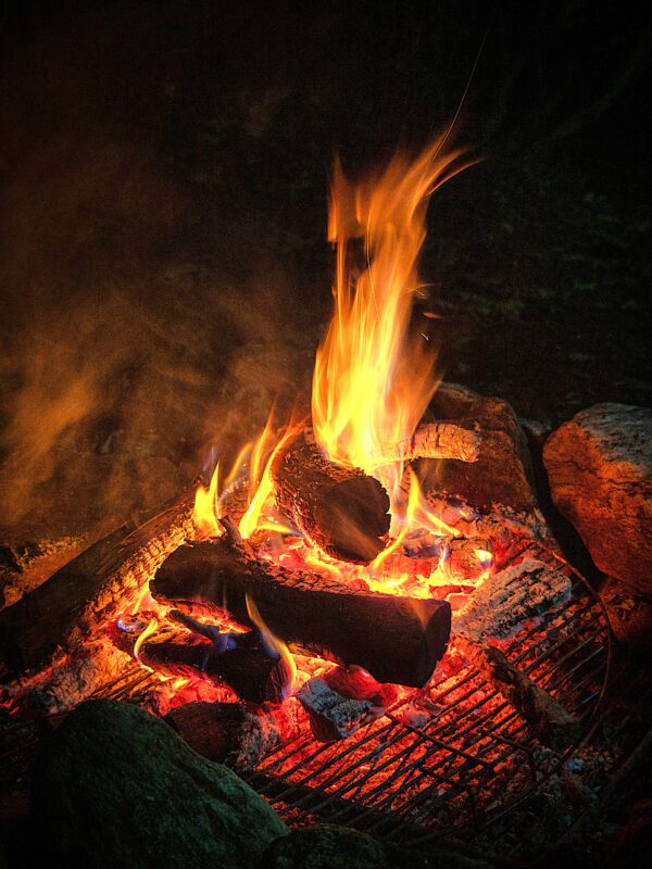Bois barbecue (10kg) – Image 4
