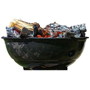 Bois barbecue (10kg)