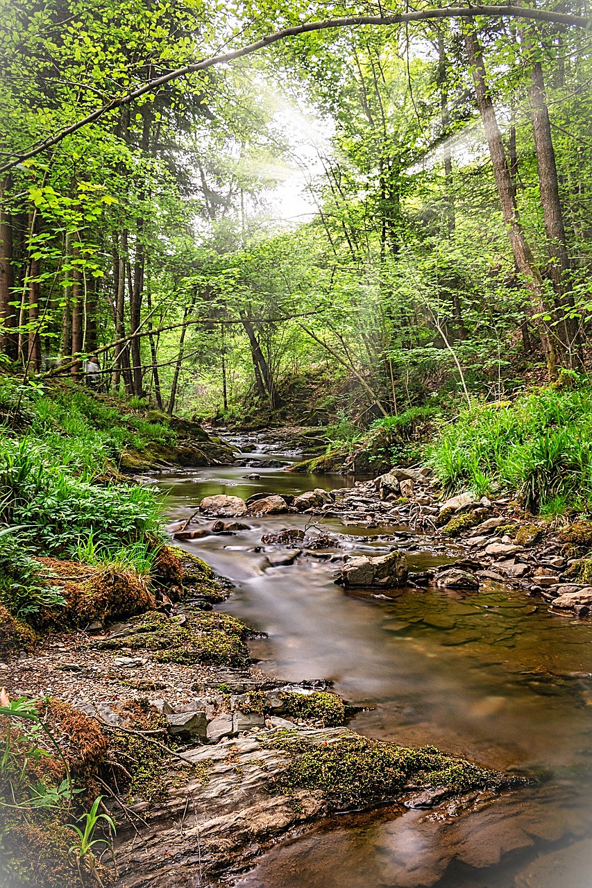 stream-5208557_1280 2